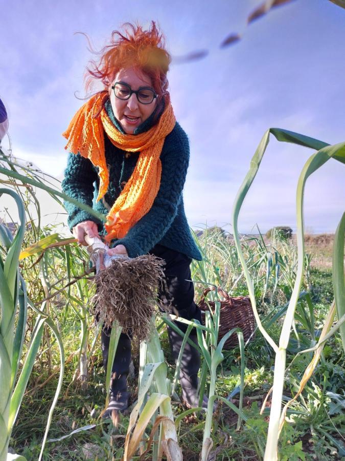 Turismo Rural La Ojinegra Alloza Zewnętrze zdjęcie